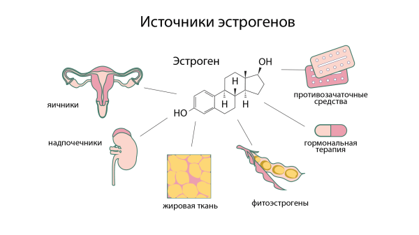 Гормональный лишний вес — как это работает?