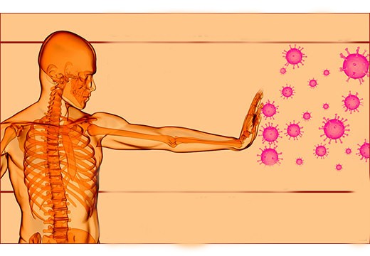 Cómo aumentar la inmunidad ante el VPH: resumen de los inmunoestimulantes efectivos