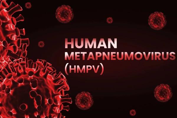 Resfriado y tos ferina: ¿es peligroso el metapneumovirus humano? Lo explica la bióloga Baranova